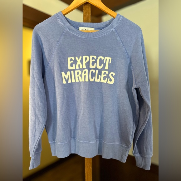 Soft blue WILDFOX Sweatshirt - Picture 1 of 9